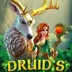 Druid's Enchanted game thumbnail
